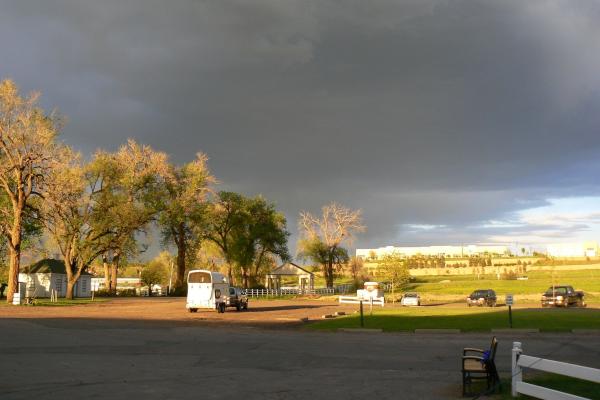 zgodbe iz amerike veterinar trbovlje